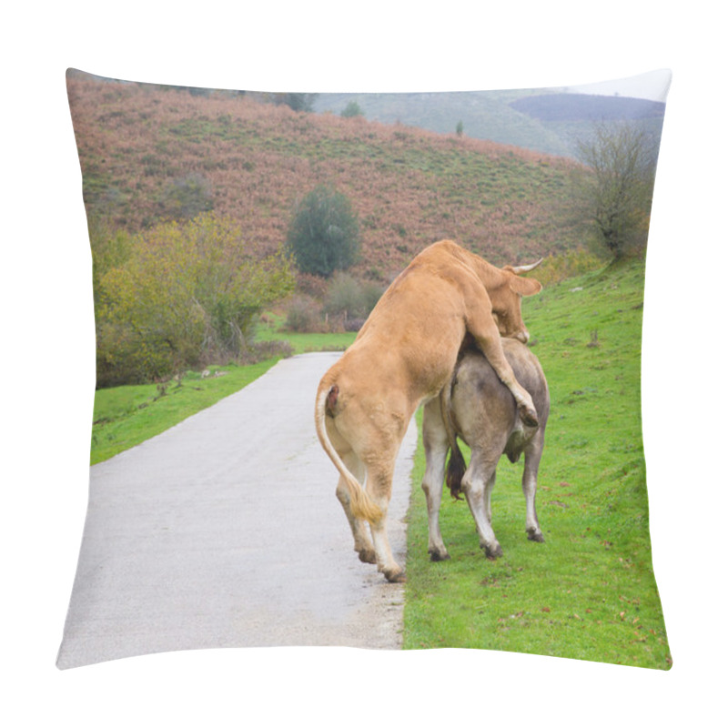 Personality  Cows In Love Pretending Intercourse In Pyrenees Road Pillow Covers