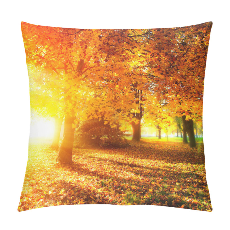 Personality  Fall. Autumnal Park. Autumn Trees And Leaves In Sunlight Rays Pillow Covers