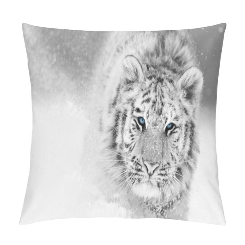 Personality  Artistic, Black And White Photo Of  Siberian Tiger, Panthera Tigris Altaica, Male In Winter Landscape, Walking Directly At Camera In Deep Snow. Taiga Environment, Freezing Cold, Winter. Pillow Covers