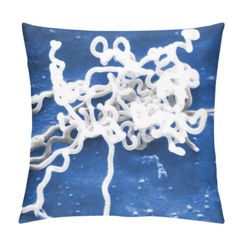 Personality  Bacterium Responsible For Syphilis Pillow Covers