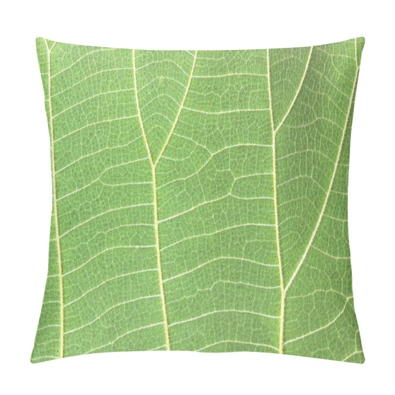 Personality  The Green Leaf Is Macro Pillow Covers