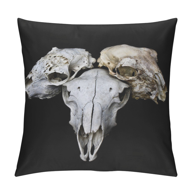 Personality  Abstract Ram Sheep Deer Skull  Pillow Covers