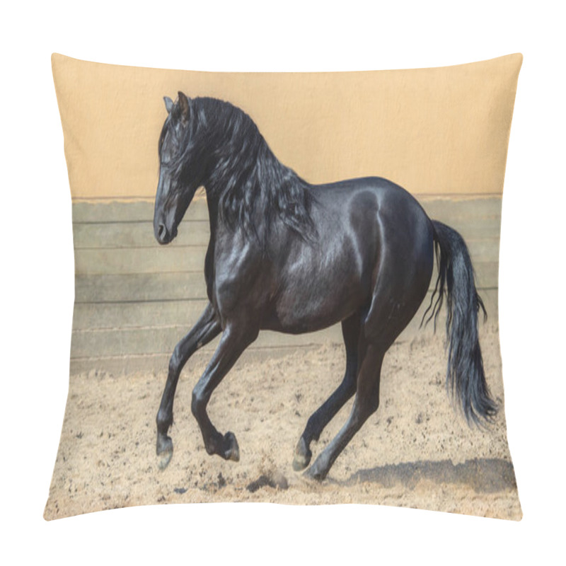 Personality  Black Andalusian Horse Galloping In Paddock. Pillow Covers