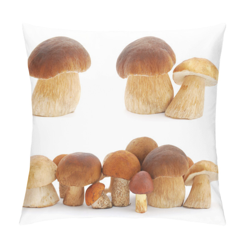 Personality  Mushrooms Pillow Covers