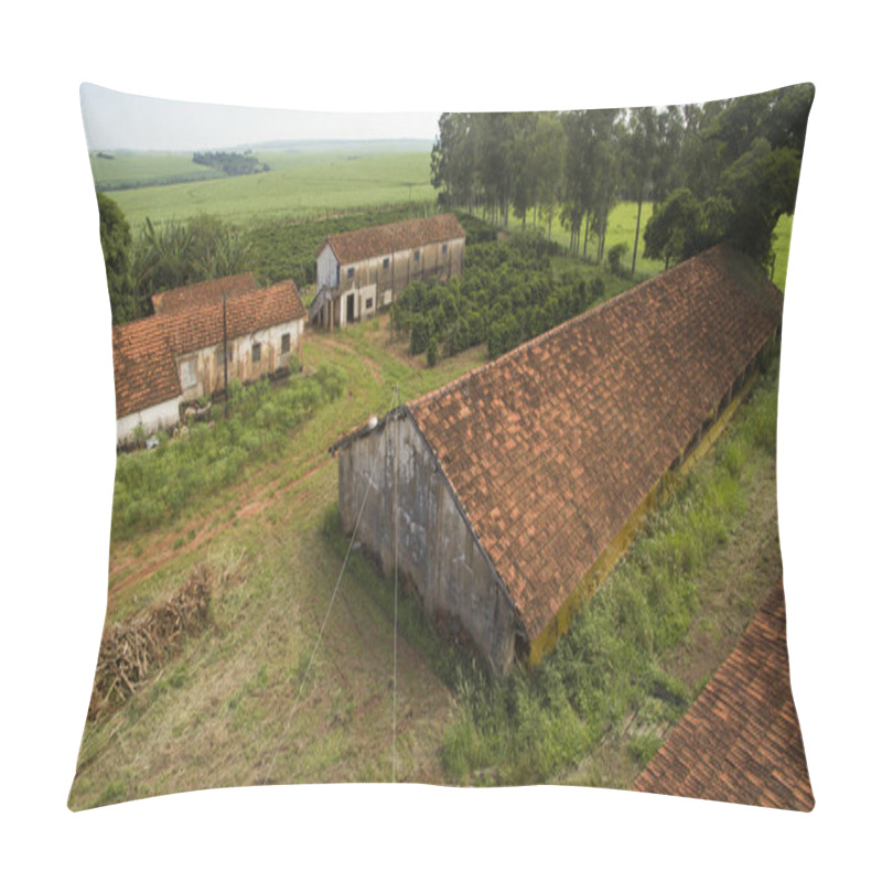 Personality  Small Farm Chickens And Coffee In The Interior Of Brazil  Pillow Covers