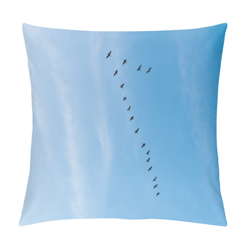 Personality  Cranes Flying In A V Formation Pillow Covers