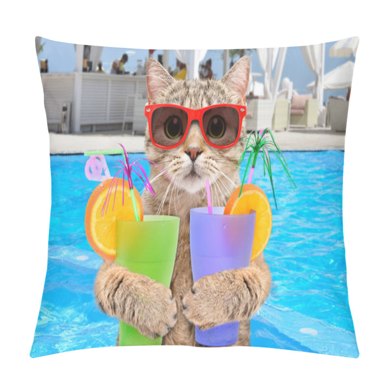 Personality  Funny Cat In Sunglasses With Cocktails In His Paws On Background Pool Pillow Covers