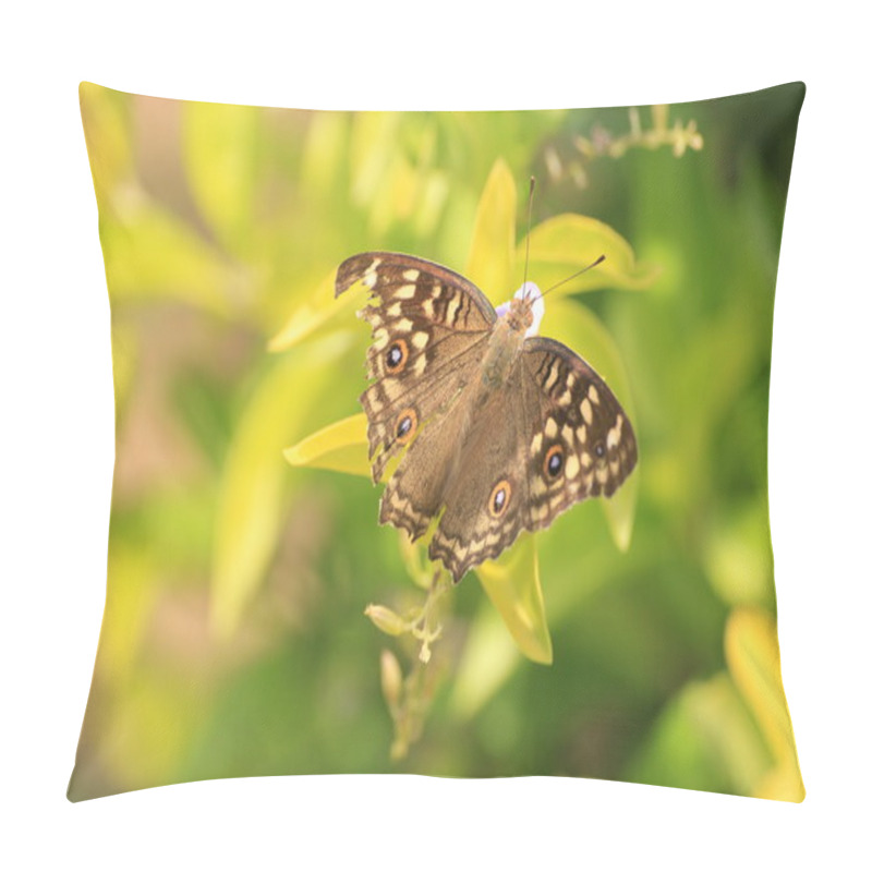 Personality  ButterFly Pillow Covers