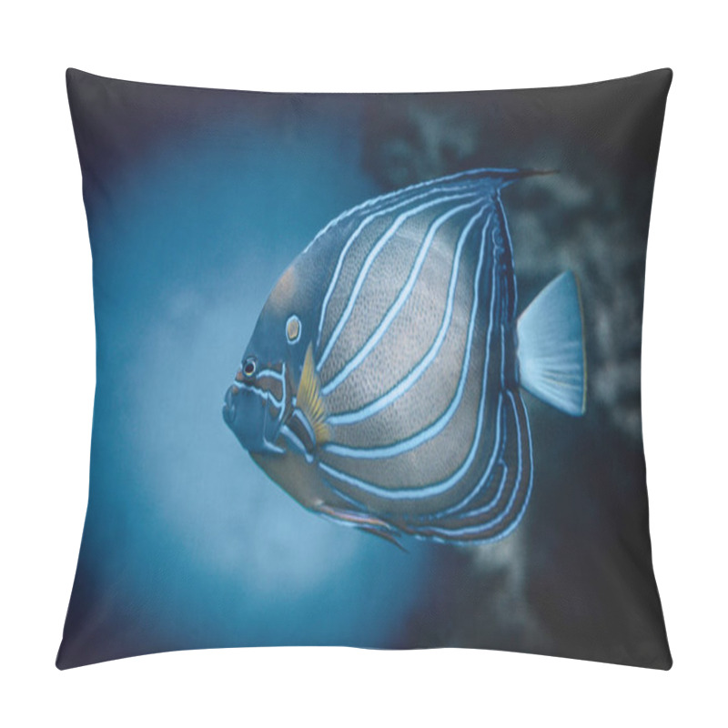 Personality  A Vibrant Angelfish Glides Through Clear Blue Waters, Showcasing Its Striking Patterns And Colors Amidst A Peaceful Underwater Environment Filled With Coral. Pillow Covers