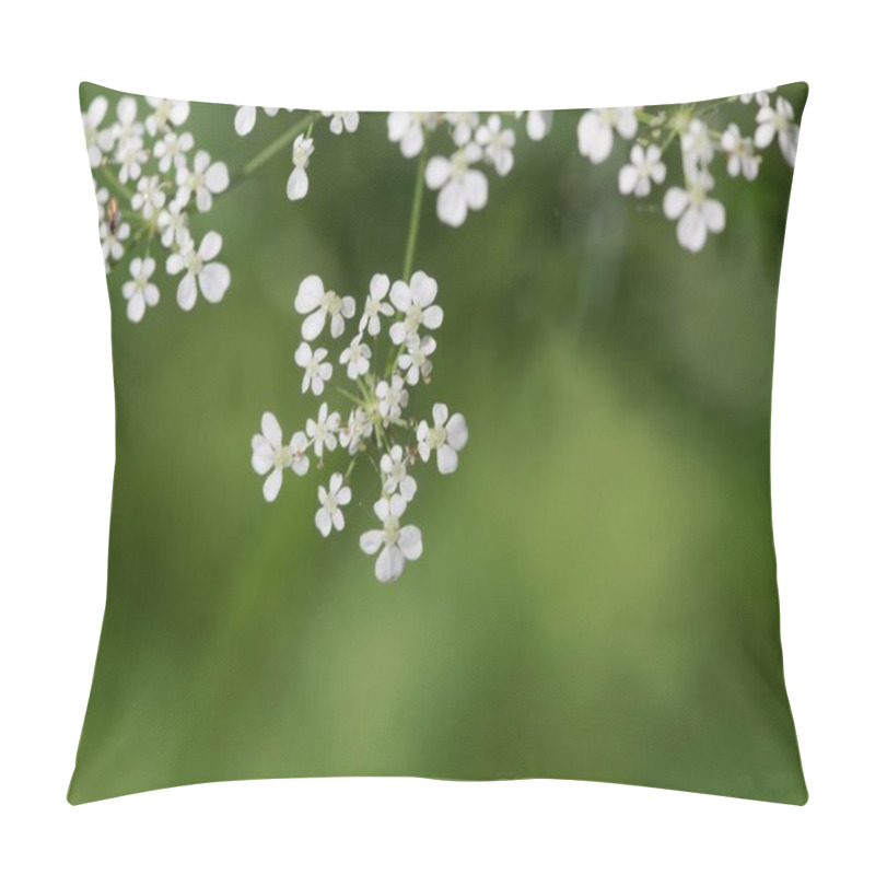 Personality  Macro Photo Of A Cow Parsley Plant Flower, Anthriscus Sylvestris Pillow Covers