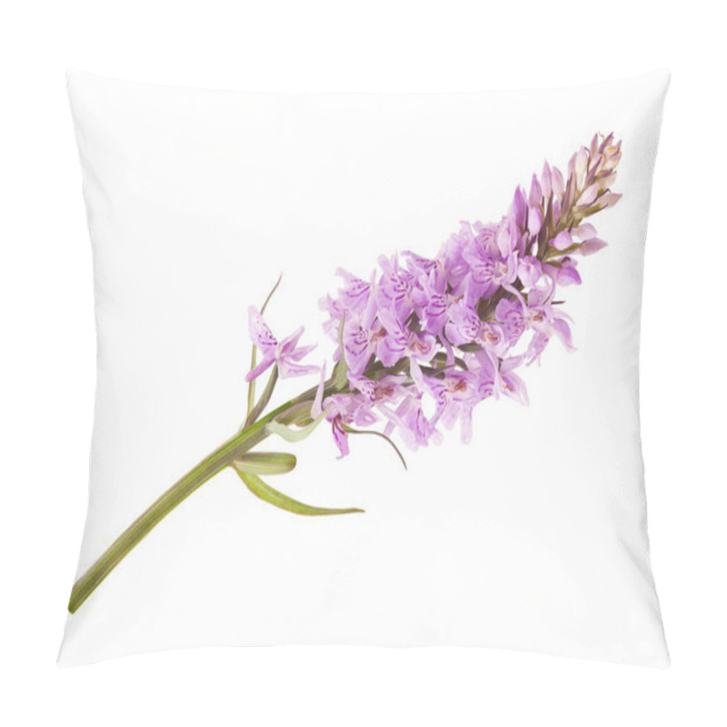 Personality  Wild Orchid Pillow Covers