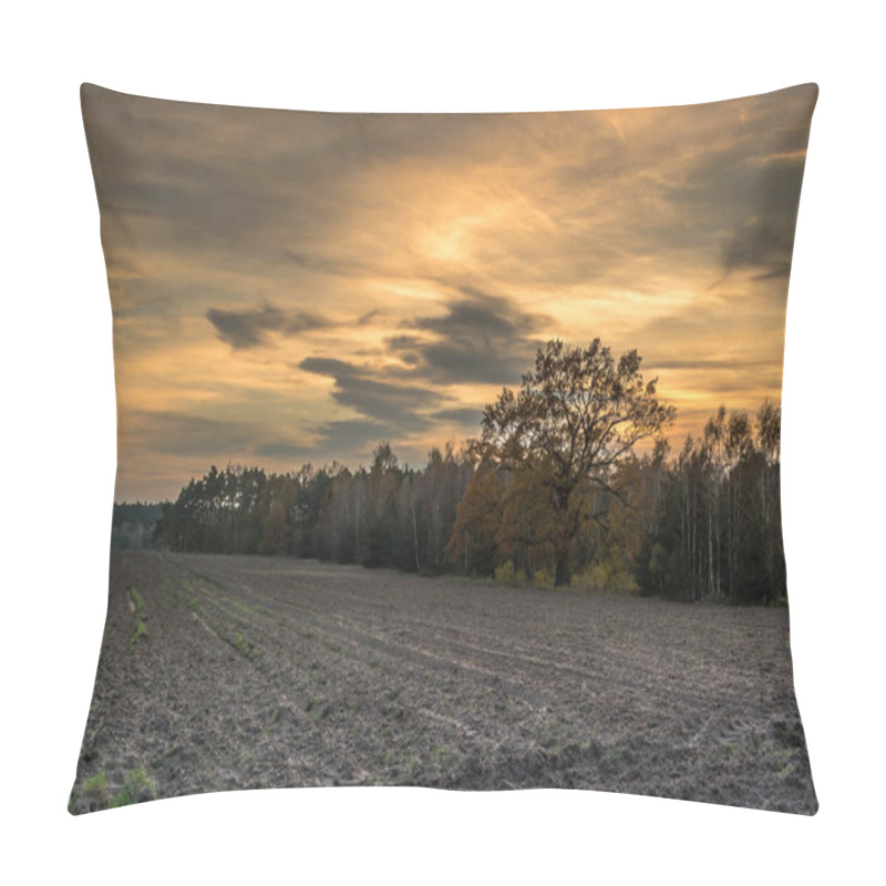 Personality  Lonely Oak In The Setting Sun Pillow Covers