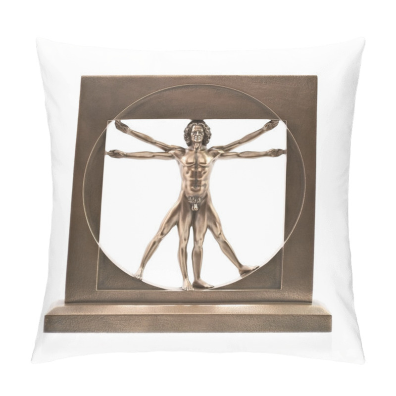 Personality  Vitruvian Man Of Leonardo Da Vinci Pillow Covers