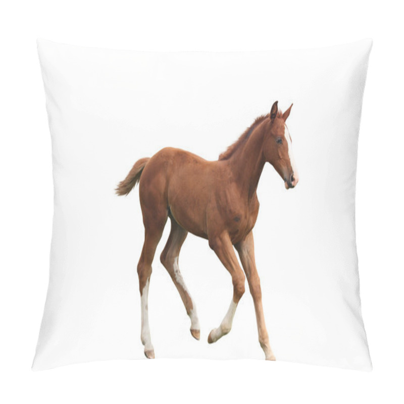 Personality  Young Foal Running Free Isolated On White Pillow Covers