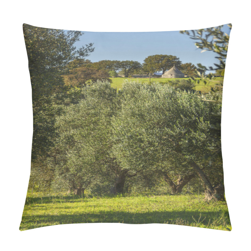 Personality   Italy Landscape: Apulia Countryside. Valle D'Itria. Hills With Olive Trees And Trullo. Typical Example Of Rural Apulian Landscape. Pillow Covers