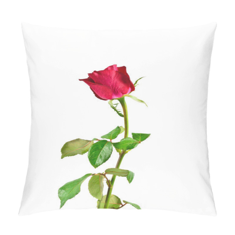 Personality  Red Rose Isolated On White Background Pillow Covers