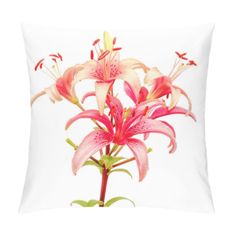 Personality  Beautiful Pink Lilies Flowers Pillow Covers