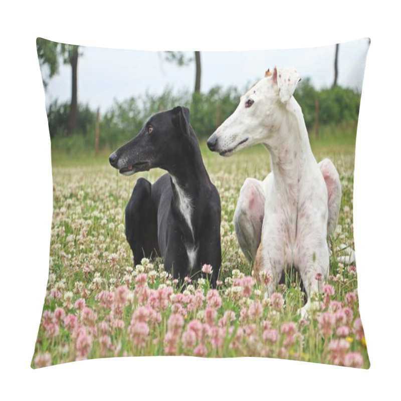 Personality  Two Pretty Galgos Lying In A Clover Field In The Garden Pillow Covers