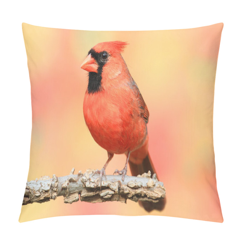 Personality  Male Northern Cardinal Pillow Covers