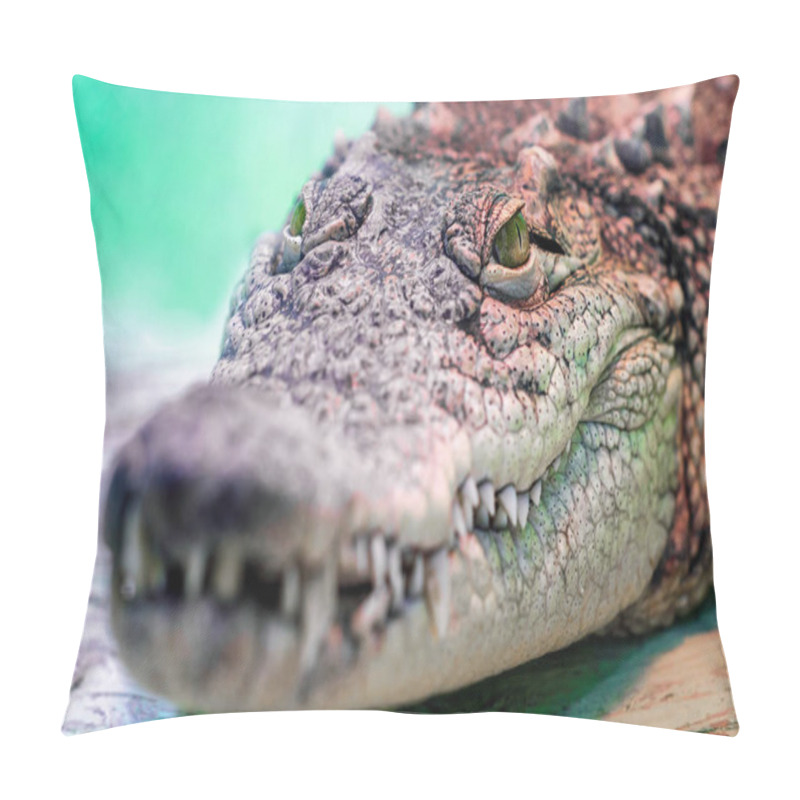 Personality  Crocodile Head With Toothy Mouth And Yellow Eye Close Up On A Green Background Pillow Covers