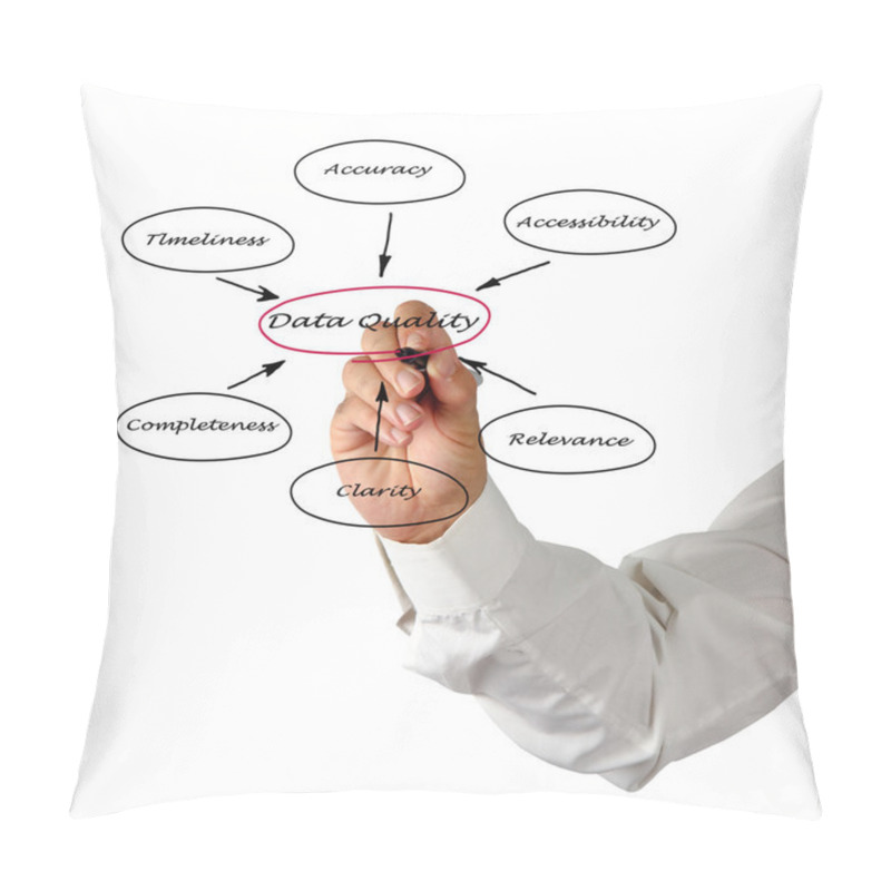 Personality  Diagram Of Data Quality Pillow Covers