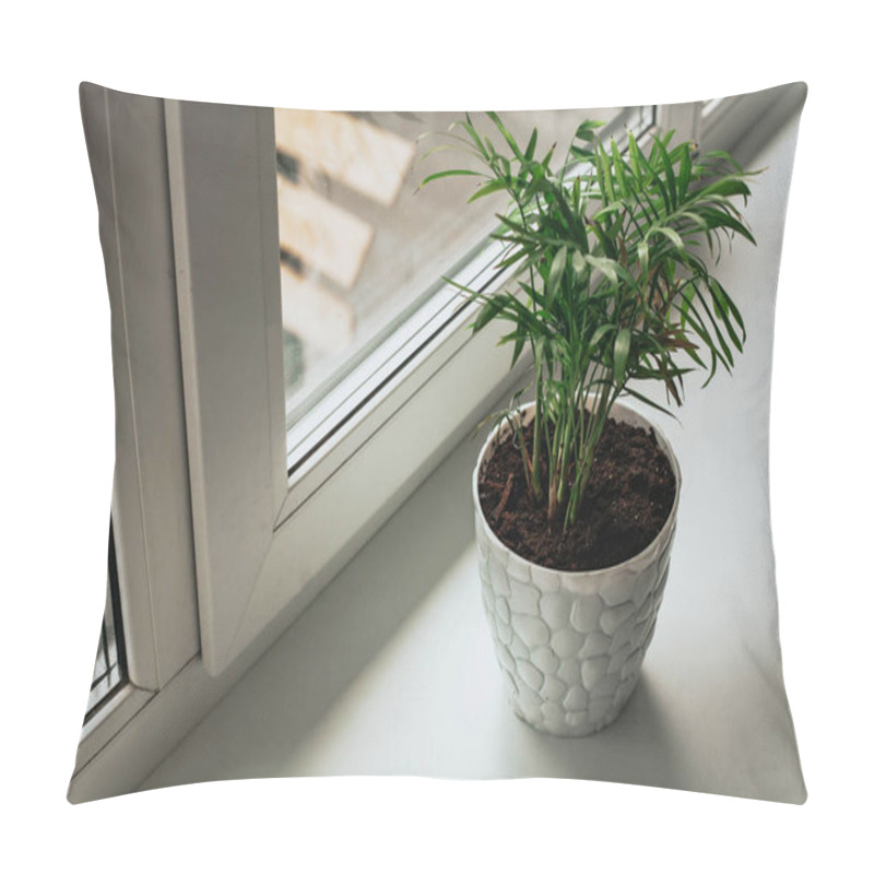 Personality  Green Flower In A Pot Stands At The Window On The Pallet. Pillow Covers