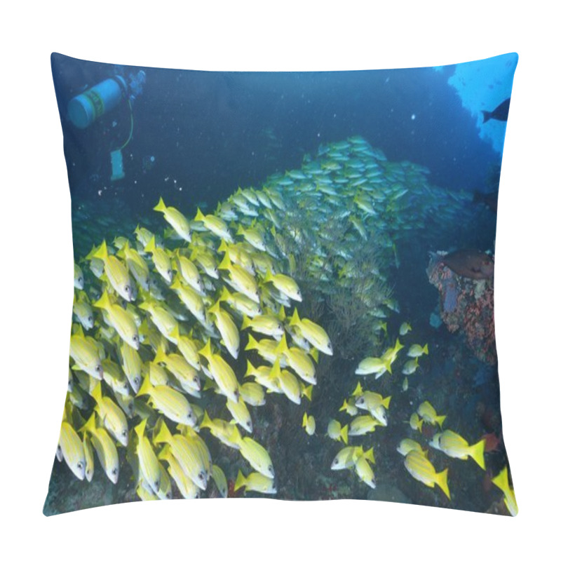 Personality  Blue Lined Snapper Pillow Covers