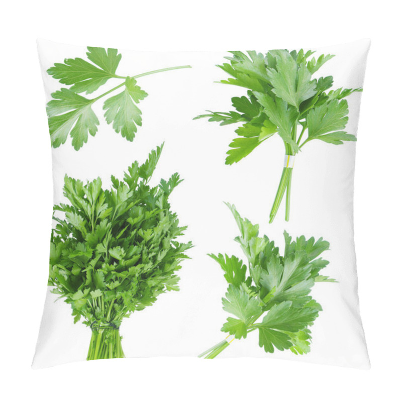 Personality  Set Of Fresh Parsley Pillow Covers