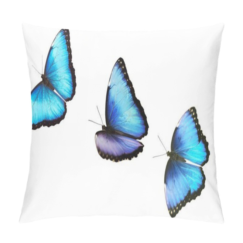 Personality  Three Flying Bright Male Blue Morpho Butterfly Isolated On White Background. Pillow Covers