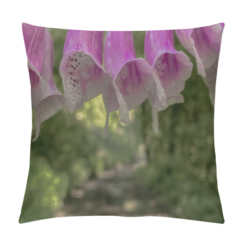 Personality  Rheinsteig Hiking Trail Landscape Pillow Covers