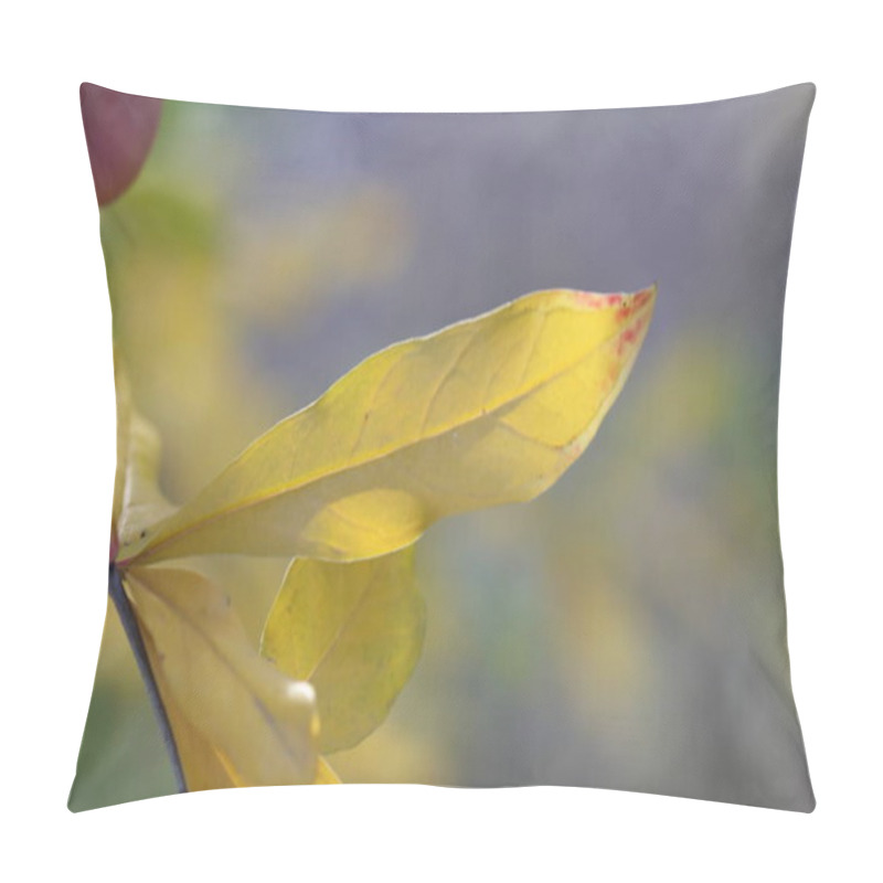 Personality  Yellow Pomegranate Leaves On The Tree In Autumn Pillow Covers