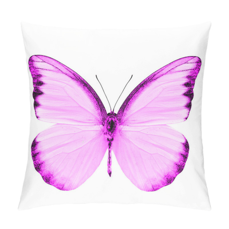 Personality  Beautiful Pink Butterfly Isolated On White Background Pillow Covers