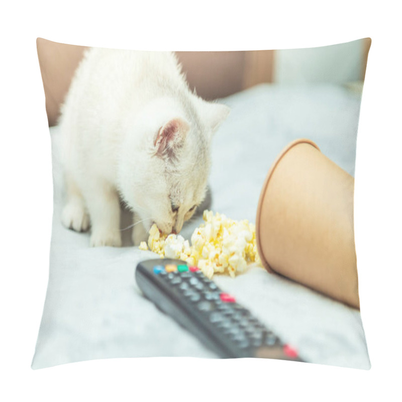 Personality  White British Kitten Lies On The Bed With A Remote Control And Popcorn. Classic Movie Viewing.  Pillow Covers