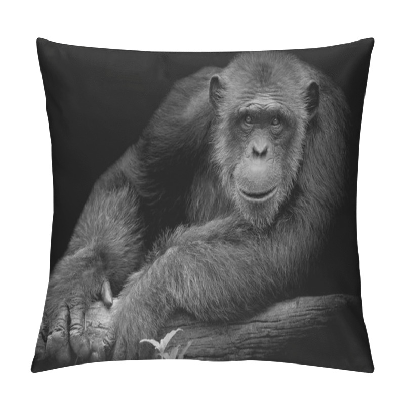 Personality  Black And White Cute Chimpanzee Smile And Catch Big Branch And Look Straight To Front Of Him On Black Background Pillow Covers