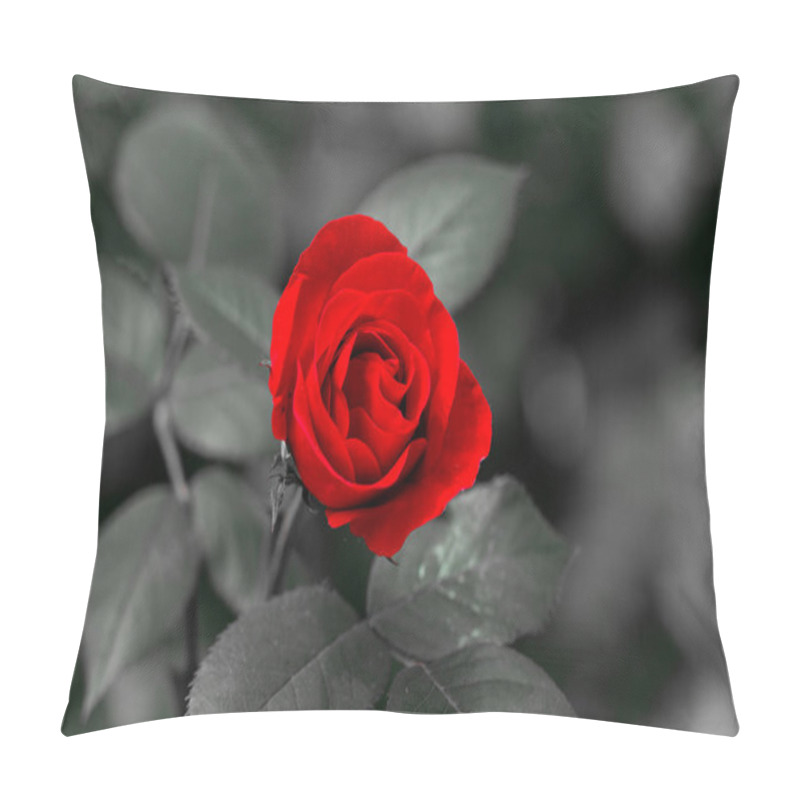 Personality  Single Red Rose With A Monochrome Grey Background Pillow Covers