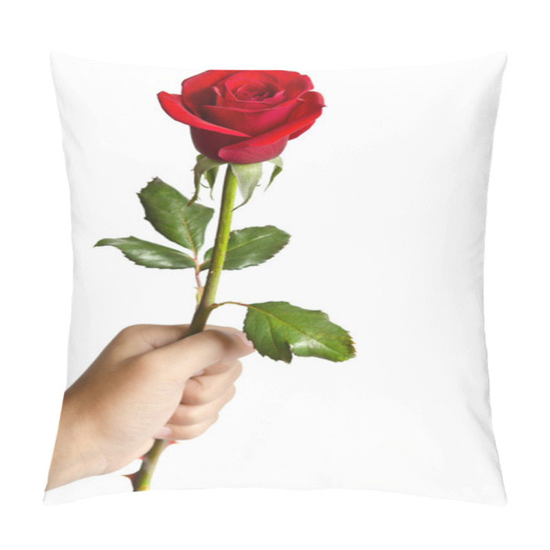 Personality  Beautiful Rose In Hand  Isolated On White Background Pillow Covers