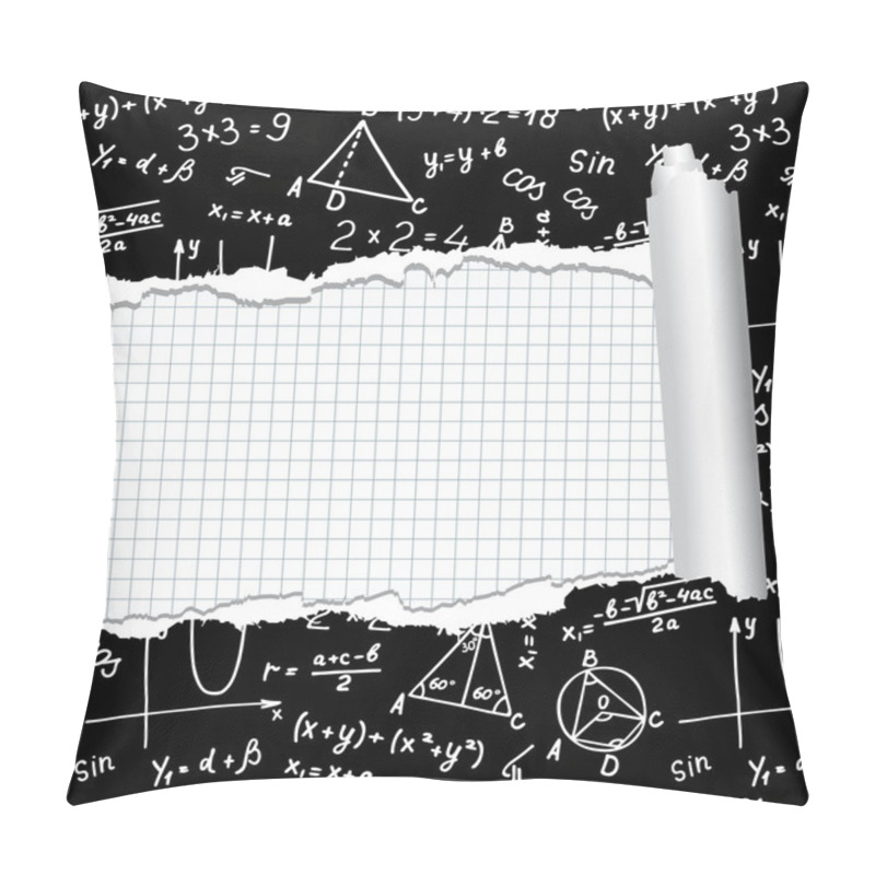 Personality  Algebra. Geometry. Abstract Background. Pillow Covers