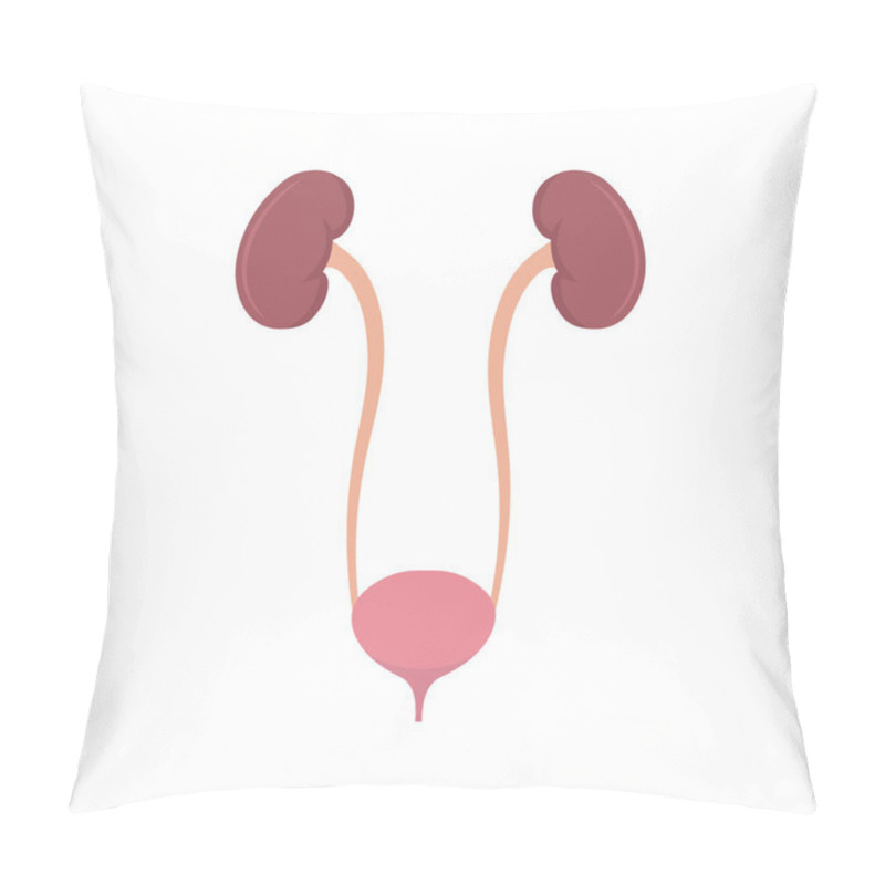 Personality  Vector Illstration Of Bladder. Flat Design. Isolated. Pillow Covers