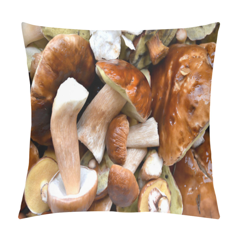 Personality  Various Edible Mushrooms Pillow Covers