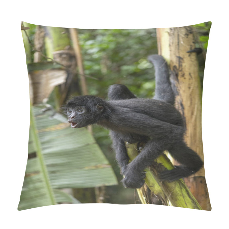 Personality  Spider Monkey In Its Natural Habitat In The Amazon Rainforest Pillow Covers