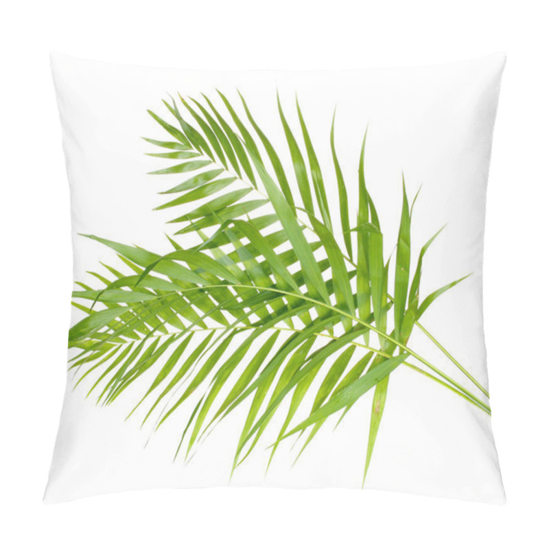 Personality  Beautiful Palm Leaves Isolated On White Pillow Covers