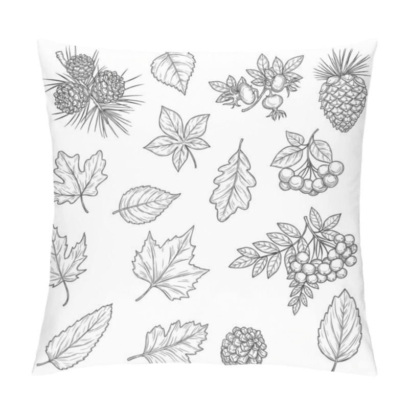 Personality  Autumn Leaf And Fruit Sketches. Vector Fall Leaves Of Maple Tree, Oak And Birch, Chestnut Foliage, October Acorn, Rowan And Briar Berries, Branches With Pinecone And Needles, Nature Season Themes Pillow Covers