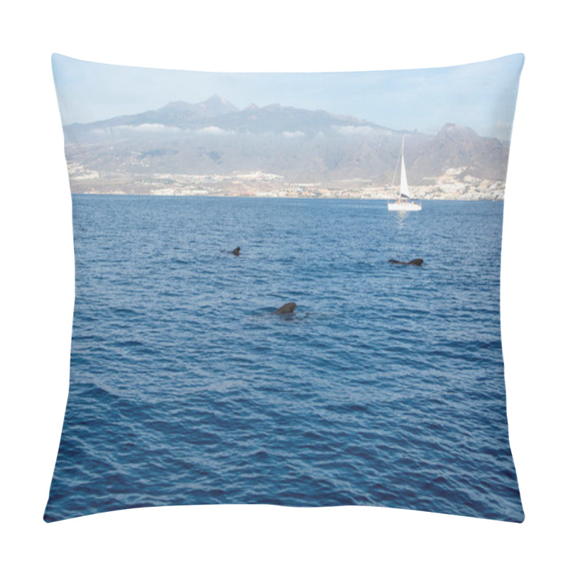 Personality  Whales Watching From Boat, Spotted Family Of Whales Near Coast Of Tenerife, Canary Islands, Spain In Winter Pillow Covers