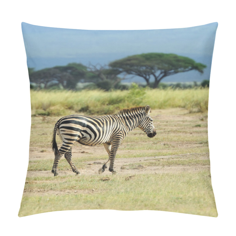 Personality  Zebra Pillow Covers