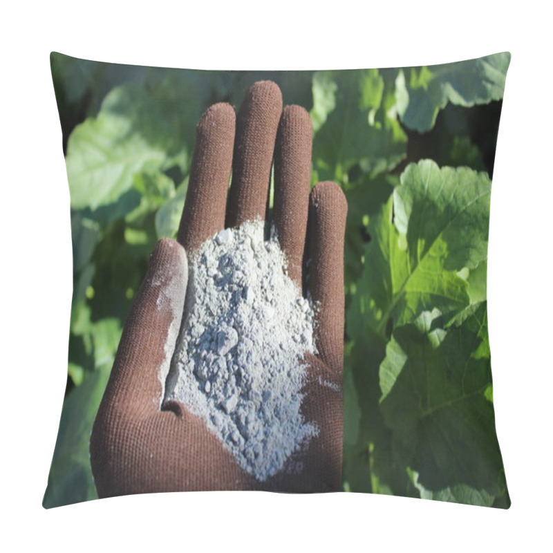 Personality  Rock Flour In A Hand And Radish Leaves Pillow Covers