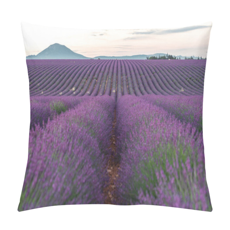 Personality  Capture The Breathtaking Beauty Of Lavender Fields In Provence, France, Basking In The Soft Morning Light. Pillow Covers