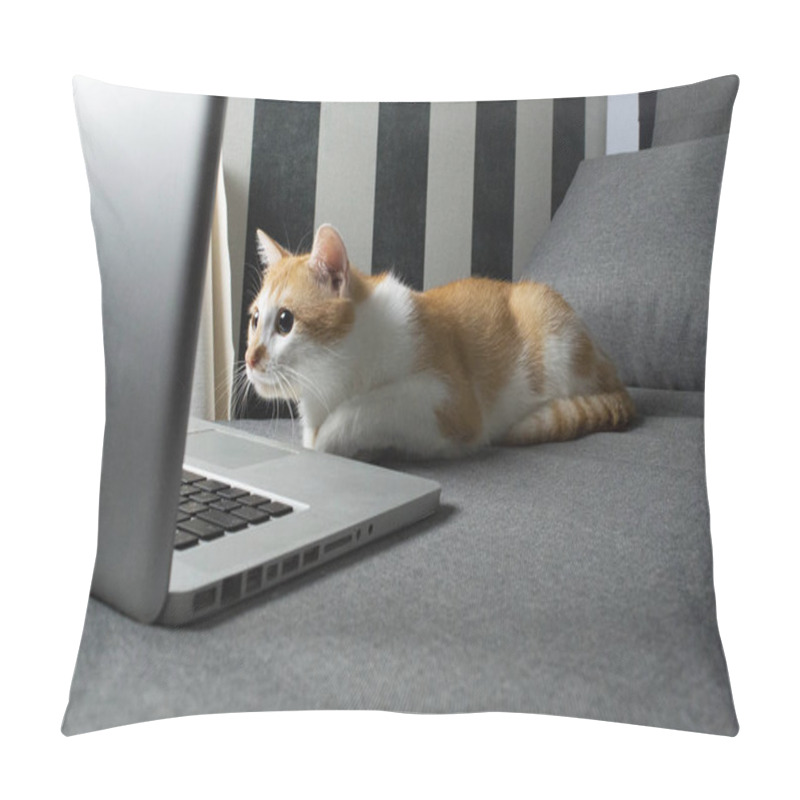 Personality  Orange Cat Sits Near The Laptop And Looks Into The Screen Pillow Covers