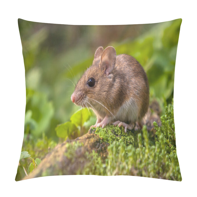 Personality  Wood Mouse In Natural Habitat Pillow Covers