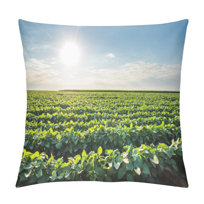 Personality  Soybean Field Pillow Covers