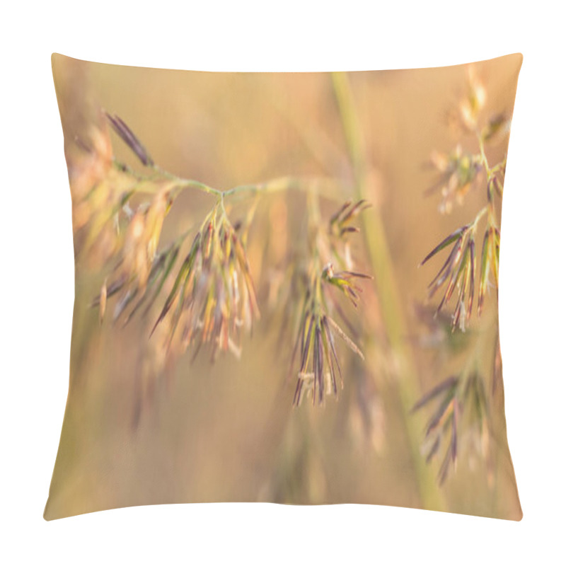 Personality  Macro Photograph Showcasing The Detailed View Of A Foxtail Plant From The Setaria Genus, Highlighting The Intricate Features Of This Grass Family Specimen Pillow Covers